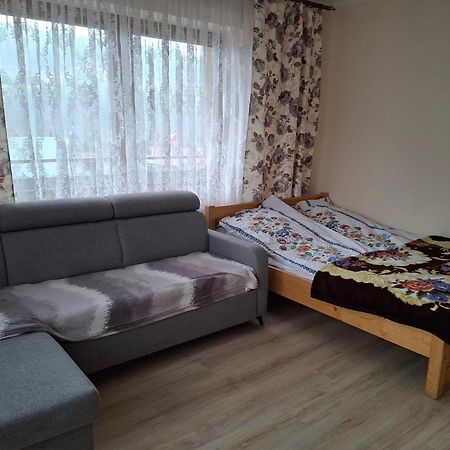 Apartamenty U Gabi Poronin Dış mekan fotoğraf
