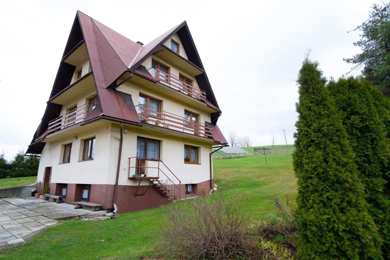 Apartamenty U Gabi Poronin Dış mekan fotoğraf