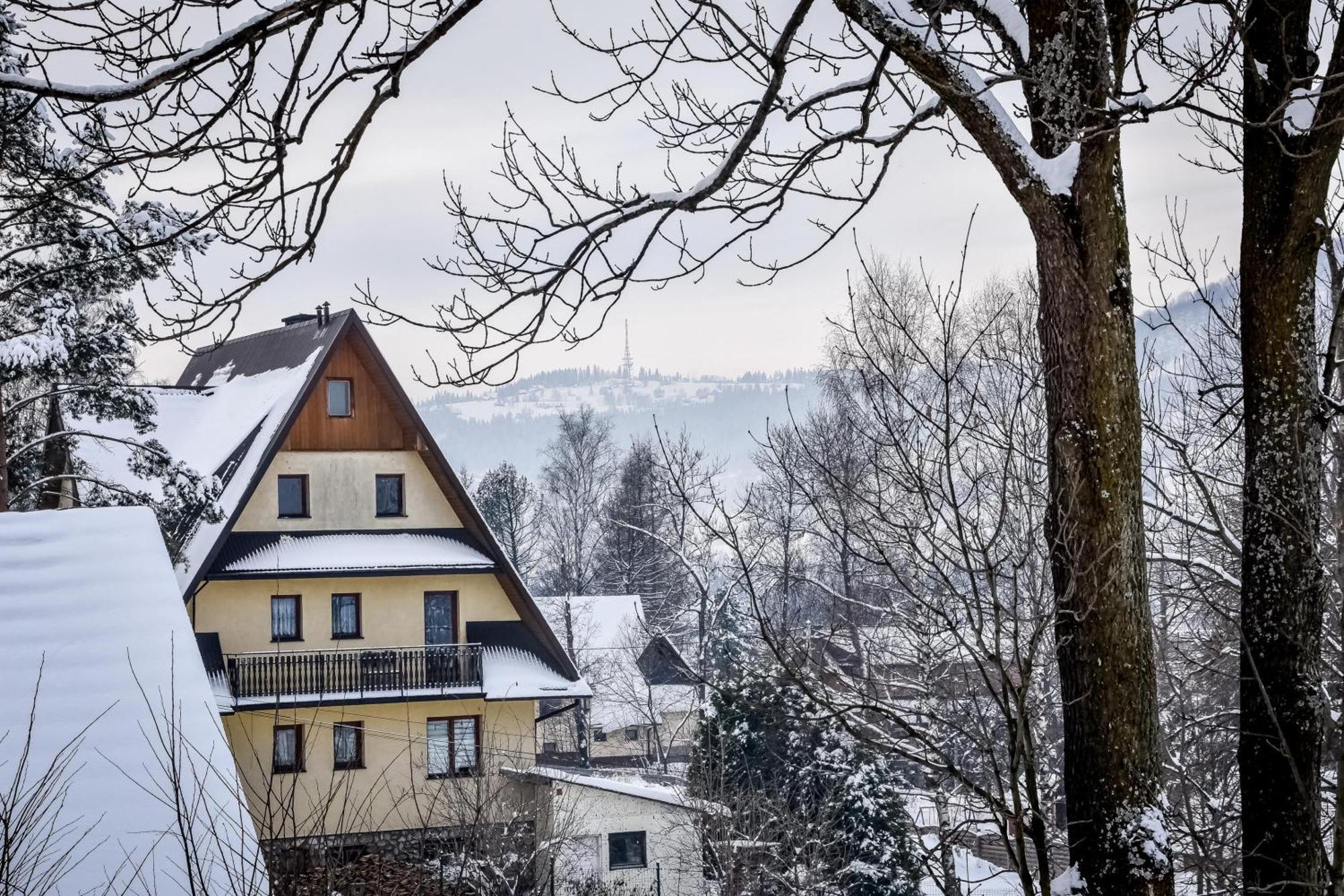 Apartamenty U Gabi Poronin Dış mekan fotoğraf
